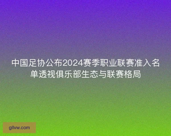 中国足协公布2024赛季职业联赛准入名单透视俱乐部生态与联赛格局